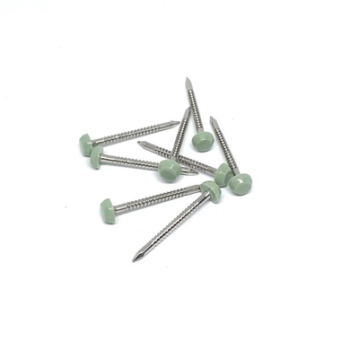 Gwoździe z łbem plastikowym ze stali nierdzewnej A2/A4 z chwytem pierścieniowym 2,0 x 30 mm