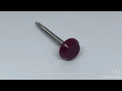 Gwoździe ze stali nierdzewnej z plastikową główką