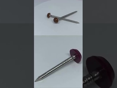 Budowa z stali nierdzewnej Głowa z tworzyw sztucznych gwoździe / szpilki SUS316 Poly Top Pins 30mm